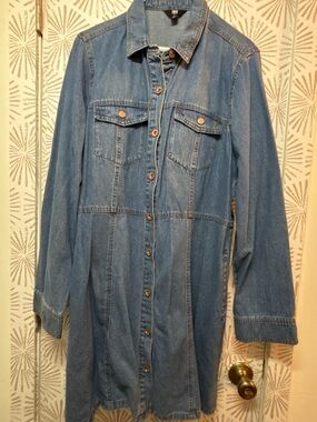 Frye Denim Button-Up in Light Blue